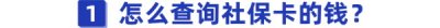 ​社会保障卡查询余额（社会保障卡查询余额软件）