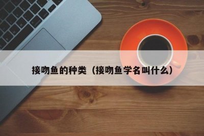 ​接吻鱼的种类（接吻鱼学名叫什么）