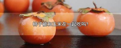 ​玉米能和柿子一起吃吗 玉米可以和柿子一起吃吗