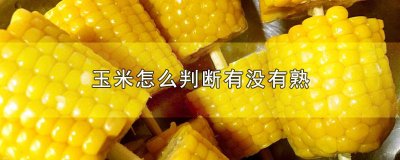 ​怎样判断玉米熟了没有 怎么判断玉米熟了吗