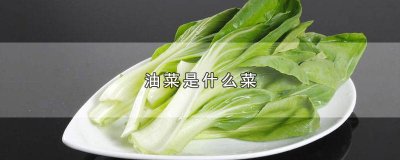 ​各种油菜图片 油菜图片大全高清图片