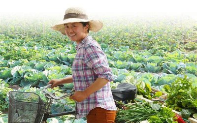 ​目前农村种植什么最好赚钱（农村这4种种植挣钱快又多）