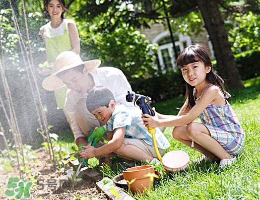 八月份可以种什么菜？八月份适合种植的蔬菜