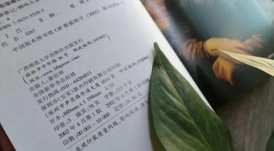 ​为了重新认识巴黎圣母院，我从仓库里找出了2002年出版的这本绝版书……