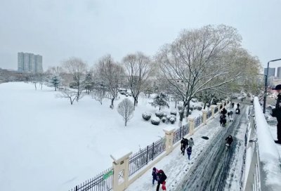 ​山西这场雪“动静”咋这大？