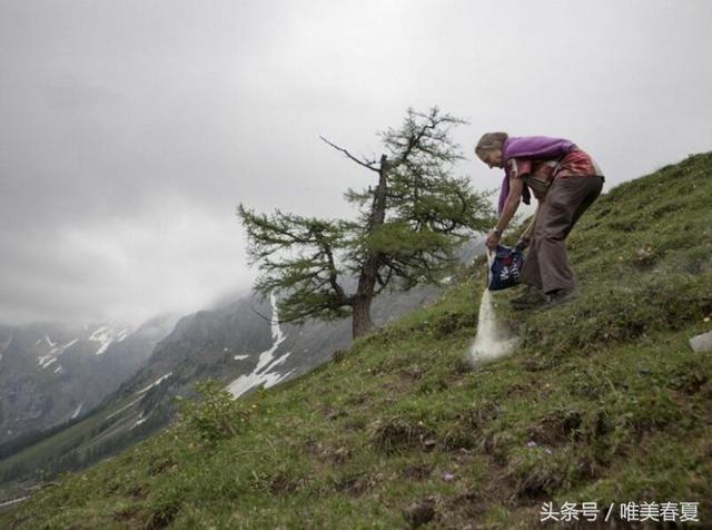 揭秘：神秘职业“死亡天使”的工作现场