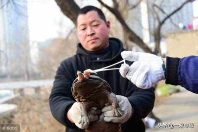 ​污水处理厂发现了怪物，像婴儿一样哭叫，谁都不清楚是怎么进来的