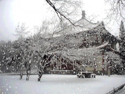 ​好冷好激动！来看看海南历史上的“第一场雪”-闲话海南