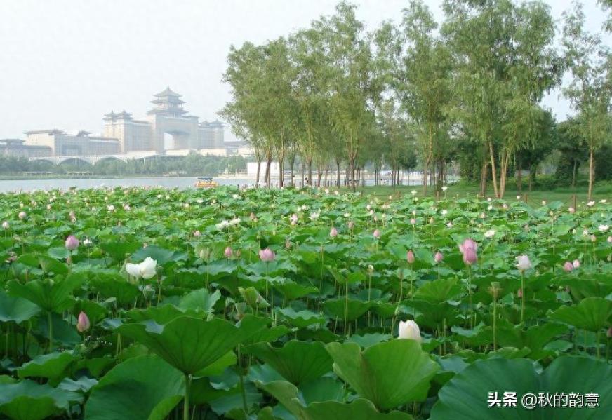 北京莲花池公园，有莲花池荷花节、庙会，距今有3000多年的历史