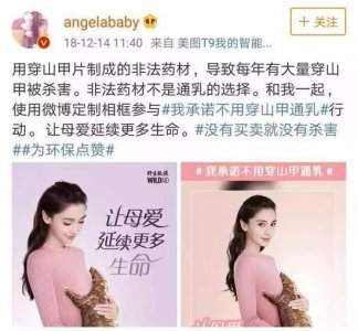 ​辟谣！穿山甲可以通乳？Angelababy说的不对，没有确实的证据支持