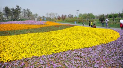 ​深圳九龙山花仙谷好玩么？