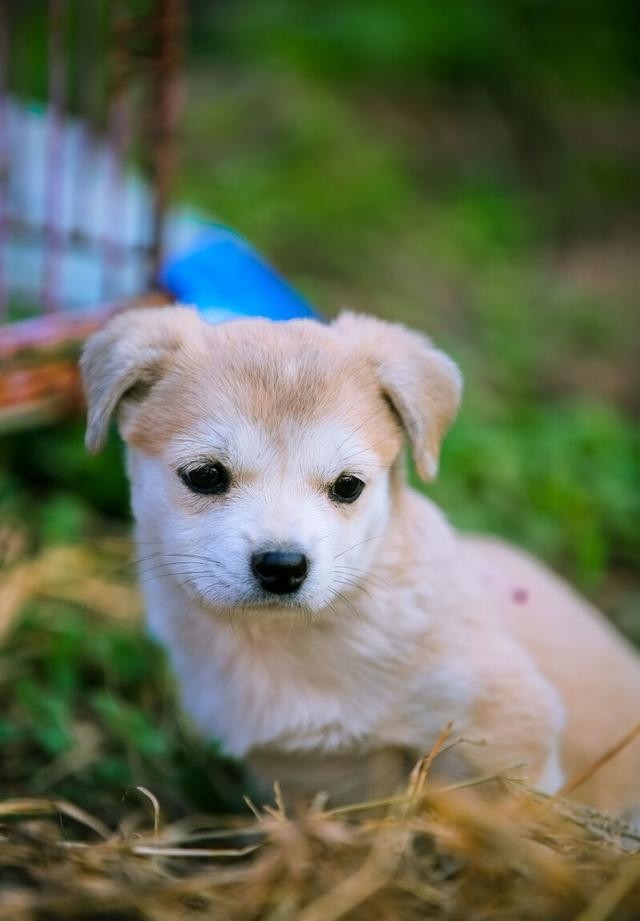 拿什么拯救你我的爱人演员表(我拿什么拯救你我的爱人演员表) 爱人 演员 第2张