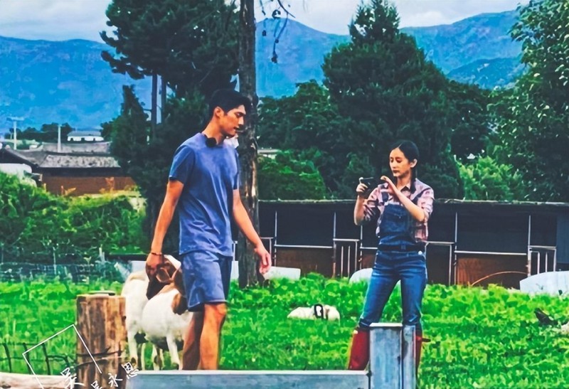 王子文的男朋友是谁（王子文被曝与男友领证）