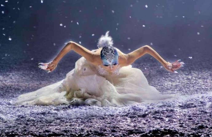 娱乐杨丽萍多大了她的个人资料有哪些  3