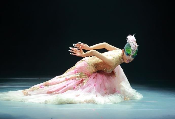 娱乐杨丽萍多大了她的个人资料有哪些  1