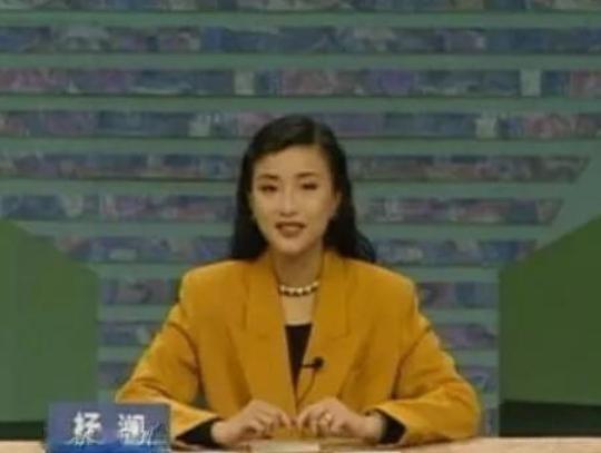 娱乐杨澜前男友张一兵(杨澜的成名史和三段情史) 1