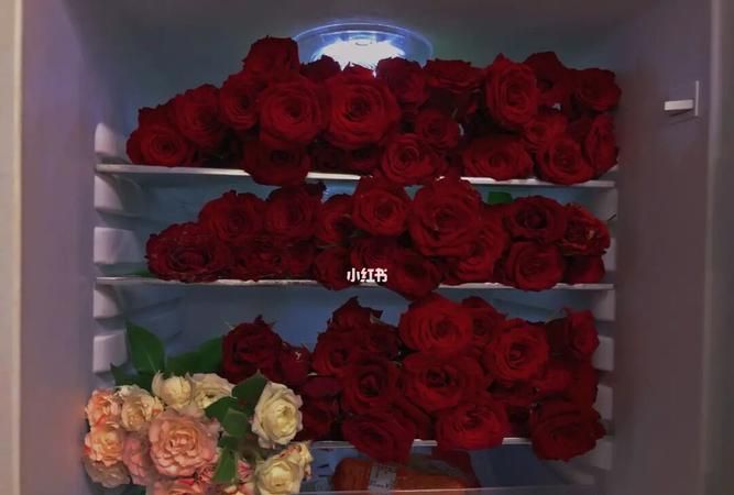 玫瑰花插在瓶子里都快谢了，有什么方法可以保存它呢