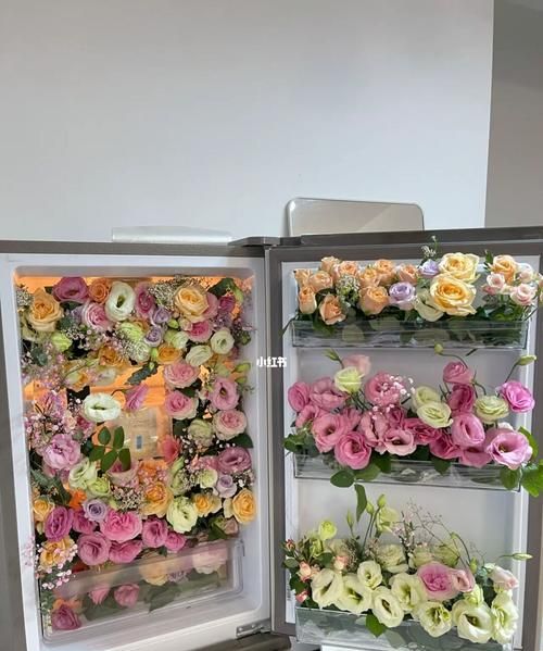 饮用的玫瑰花的保存可以放冰箱里吗