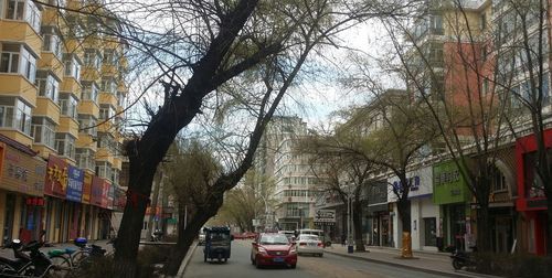 打造美食一条街的建议