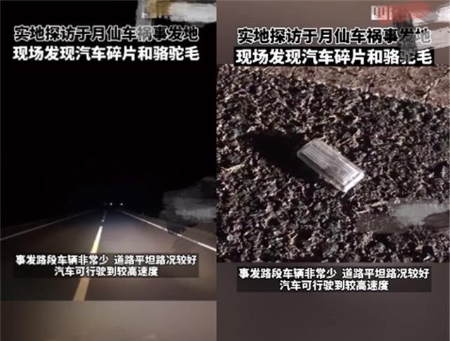 于月仙简历个人资料简介（ 于月仙车祸现场图曝光）