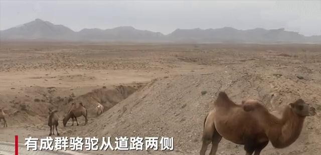 于月仙简历个人资料简介（ 于月仙车祸现场图曝光）