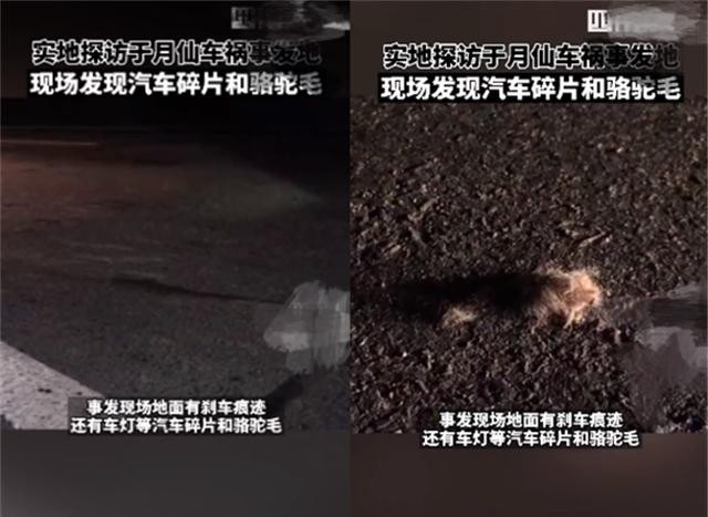 于月仙简历个人资料简介（ 于月仙车祸现场图曝光）