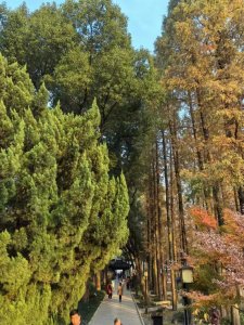 ​血脉终于觉醒了！