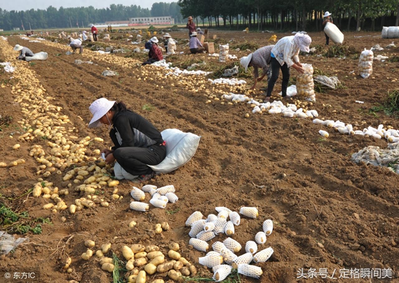 7个母亲背影感人瞬间 哪张勾起了您的回忆 哪一张又感动了您