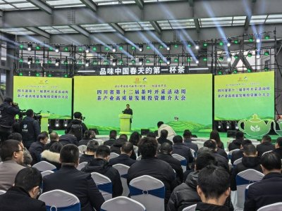 ​“品味中国春天的第一杯茶” 四川省第十二届茶叶开采活动周在泸州市纳溪区启动