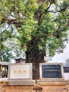 ​流坑古村被誉为“千古第一村”，一个比凤凰更有故事的神秘古村