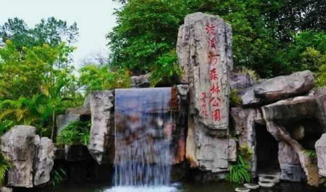 广东流溪河森林公园，夏天戏水的好地方，还可以免费吃三华李