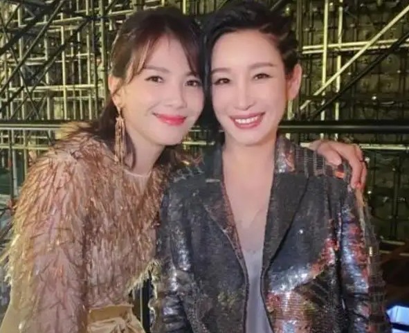 演员刘涛有没有飞机 刘涛代步用价值3亿私人飞机