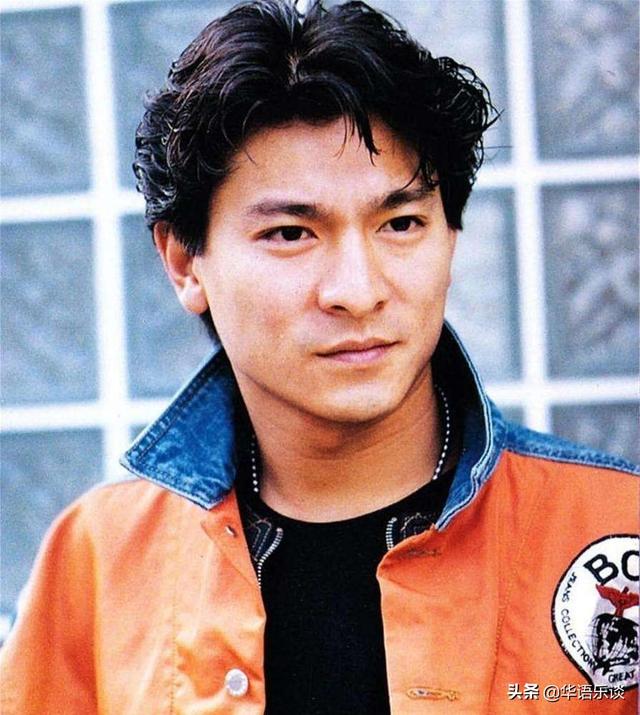 刘惜君十首最好听的歌完整版(为何刘德华的歌极少被翻唱)(5)