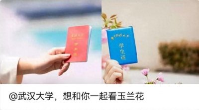 ​下午5:20，武大华科同时发了一条微信……