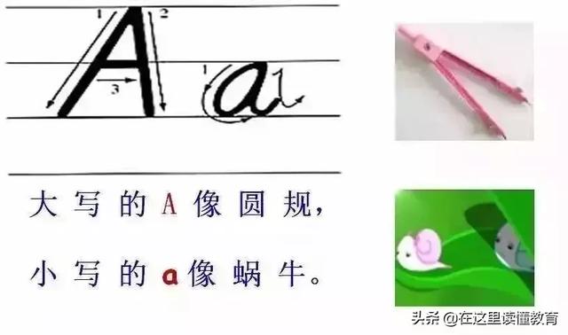 24个英文字母正确规范的书写(26个英文字母规范书写技巧)(2)