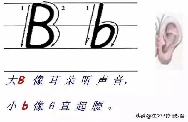 24个英文字母正确规范的书写(26个英文字母规范书写技巧)(3)