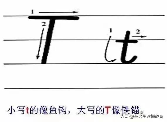 24个英文字母正确规范的书写(26个英文字母规范书写技巧)(21)