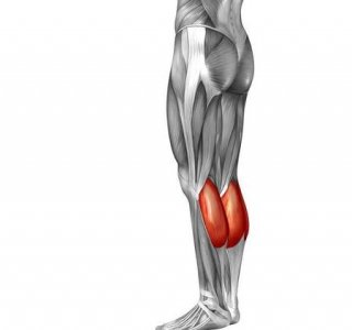 ​每天坚持踮脚有什么好处(每天坚持踮脚尖的7个好处)