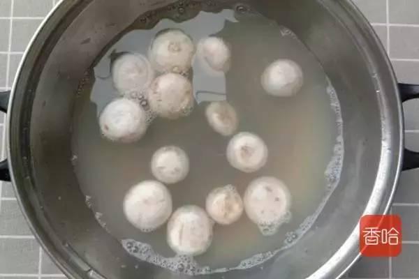 各种蘑菇的做法大全家常(几道蘑菇的不同做法)(22)