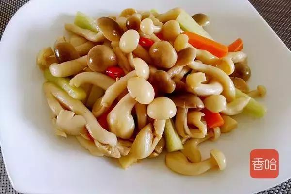 各种蘑菇的做法大全家常(几道蘑菇的不同做法)(17)