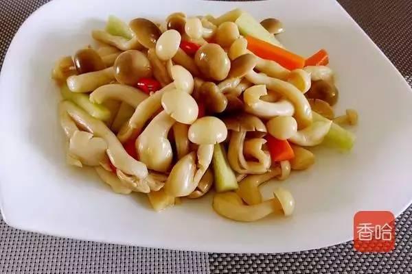 各种蘑菇的做法大全家常(几道蘑菇的不同做法)(19)