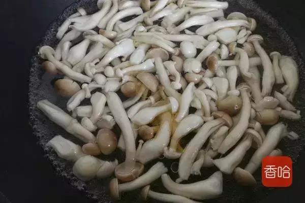 各种蘑菇的做法大全家常(几道蘑菇的不同做法)(13)