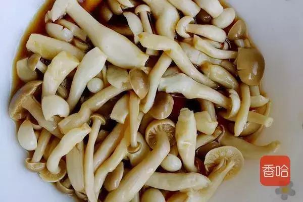 各种蘑菇的做法大全家常(几道蘑菇的不同做法)(15)