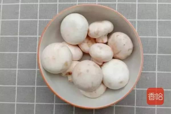 各种蘑菇的做法大全家常(几道蘑菇的不同做法)(21)