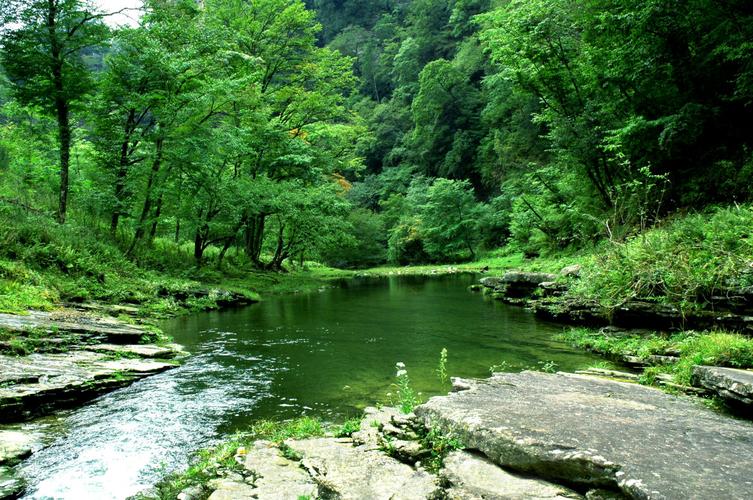 3、万山国家森林公园