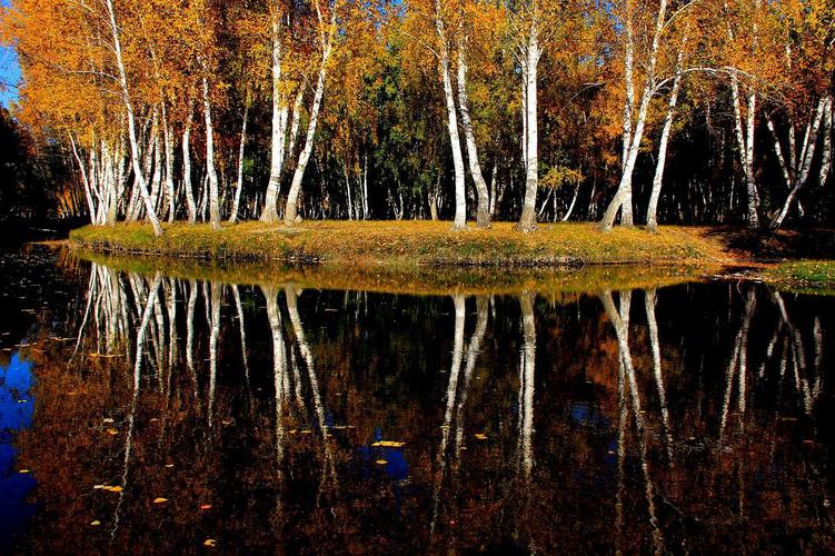 5、海拉尔城区的白桦林公园、小白桦林公园和兴隆台公园。