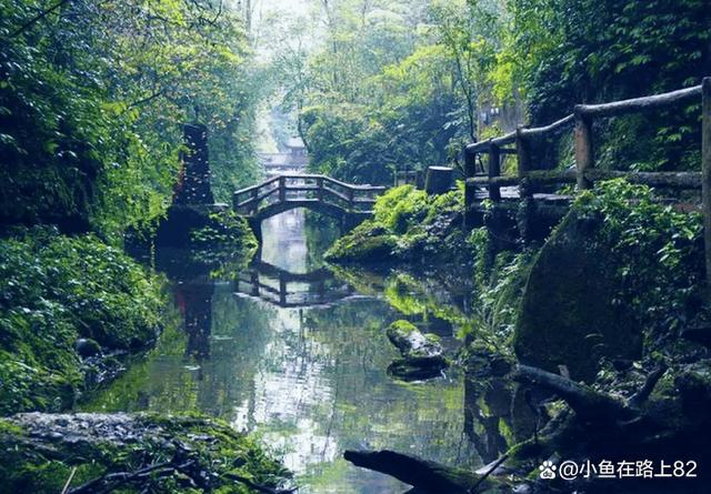 第三天:青城山—青城山—三国城