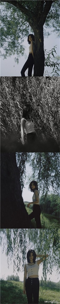 万鹏:优雅迷人、独立爽朗的新生代小花!