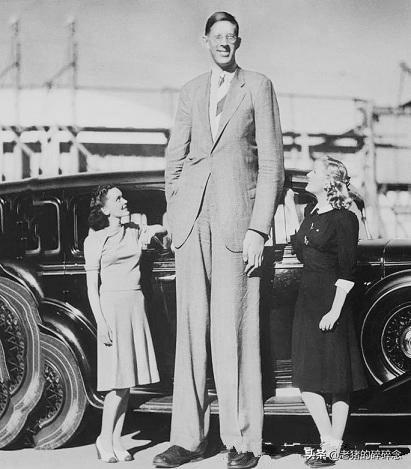 世界第一巨人老照片：身高2米72，重444斤