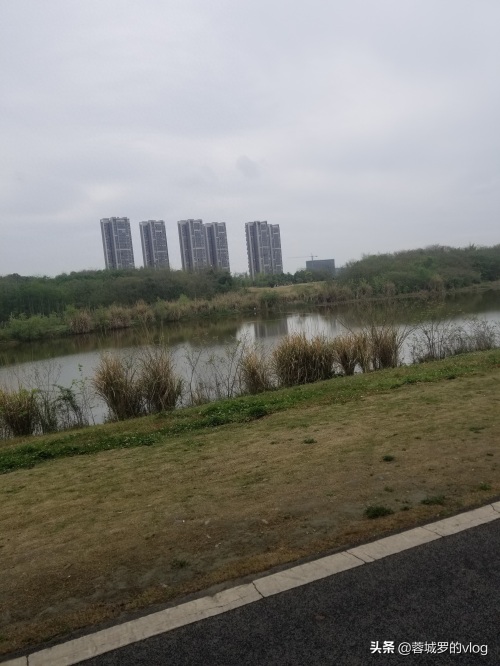 成都青龙湖湿地公园景色